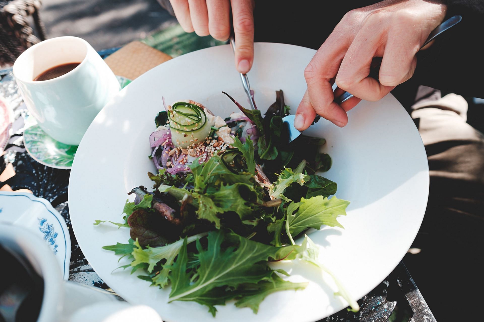 17-day diet (Image via Pexels/Lachlan Ross)